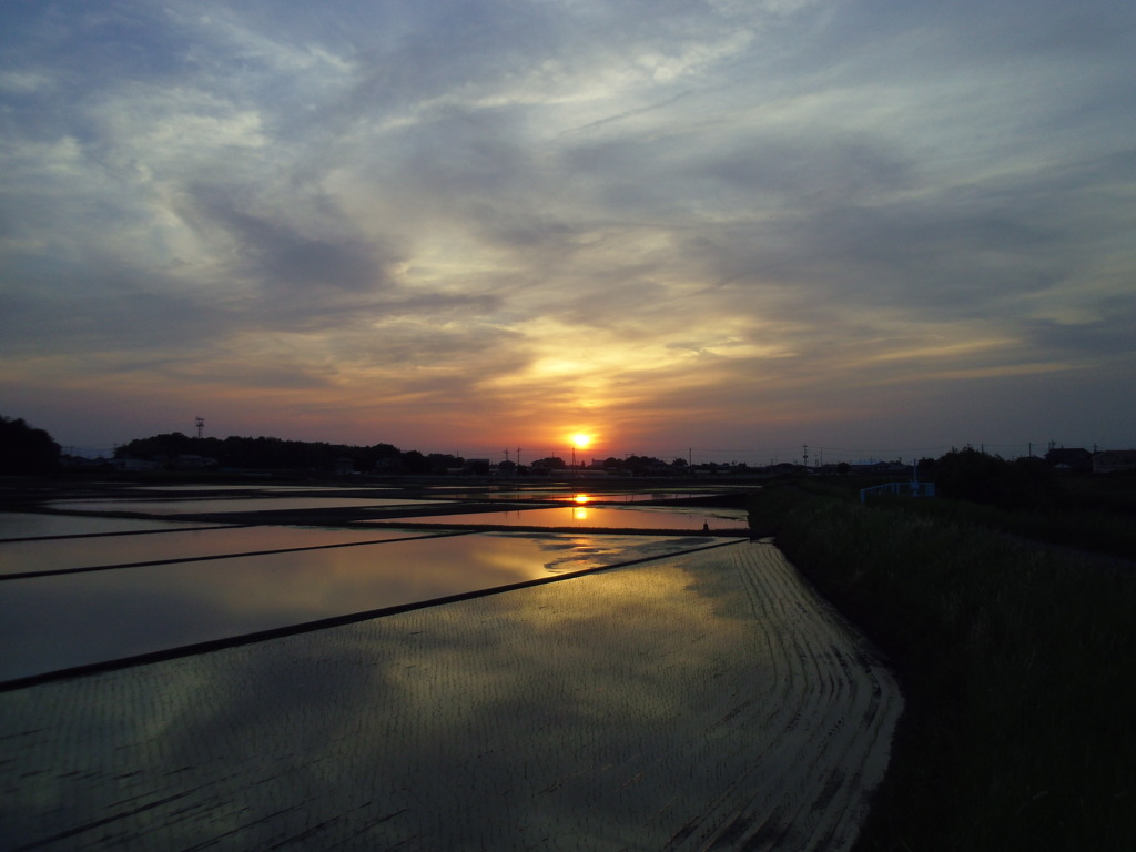 2017/05/21_水田の夕暮れ