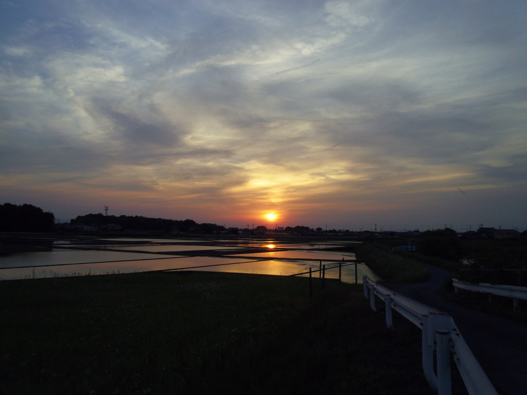 2017/05/21_水田の夕暮れ