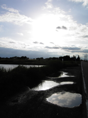 2017/05/14_水溜まりに晴れ間