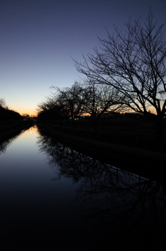 2015/12/26_見沼代用水の夕暮れ