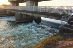 2014/11/22_見沼代用水