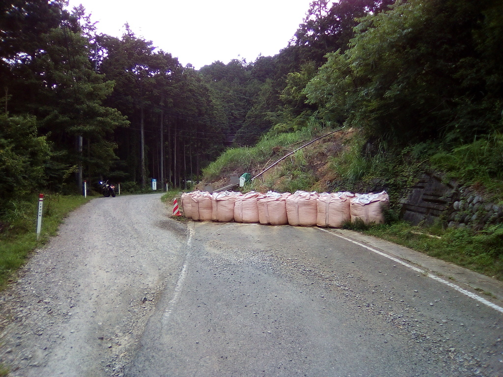 2018/06/30_少し迂回する林道