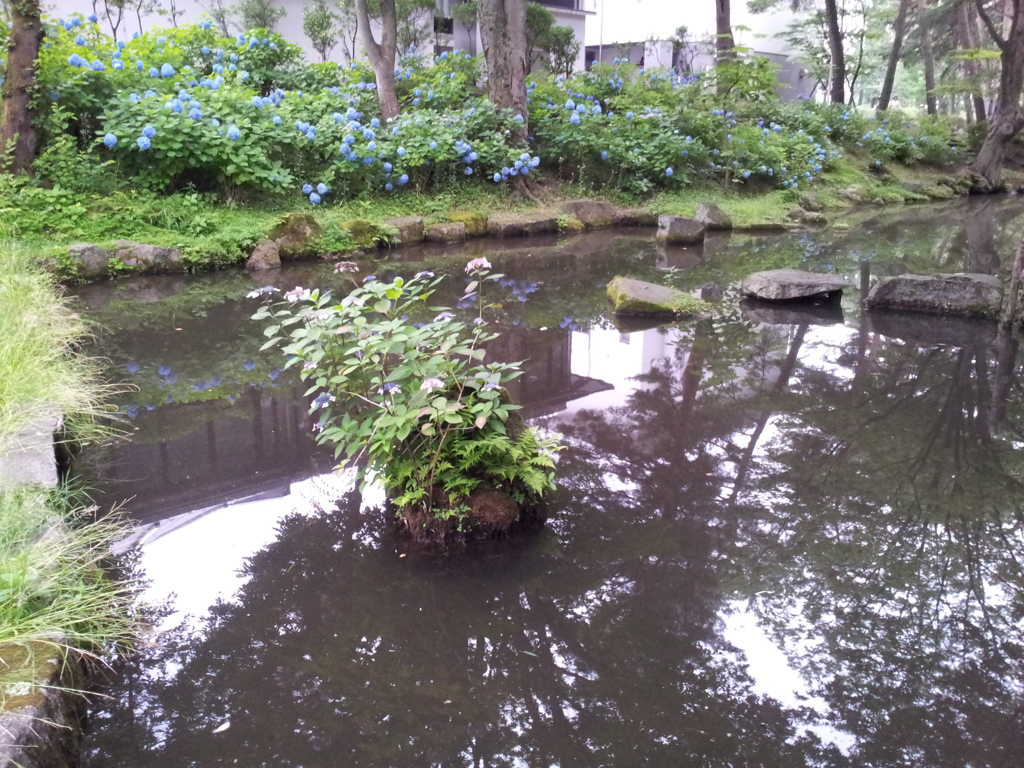 2016/07/16_盛岡城跡公園（岩手公園）鶴ケ池