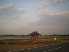 2017/06/11_田んぼの中の庚申塔
