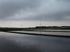 2017/05/27_水田の曇天