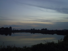 2016/10/16_溜め池の夕暮れ