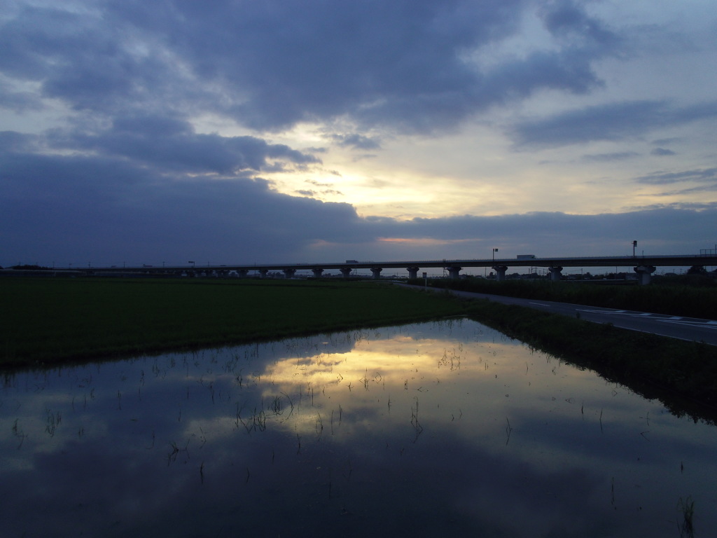 2016/07/23_水田の夕暮れ