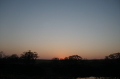 2014/02/02_夕暮れ