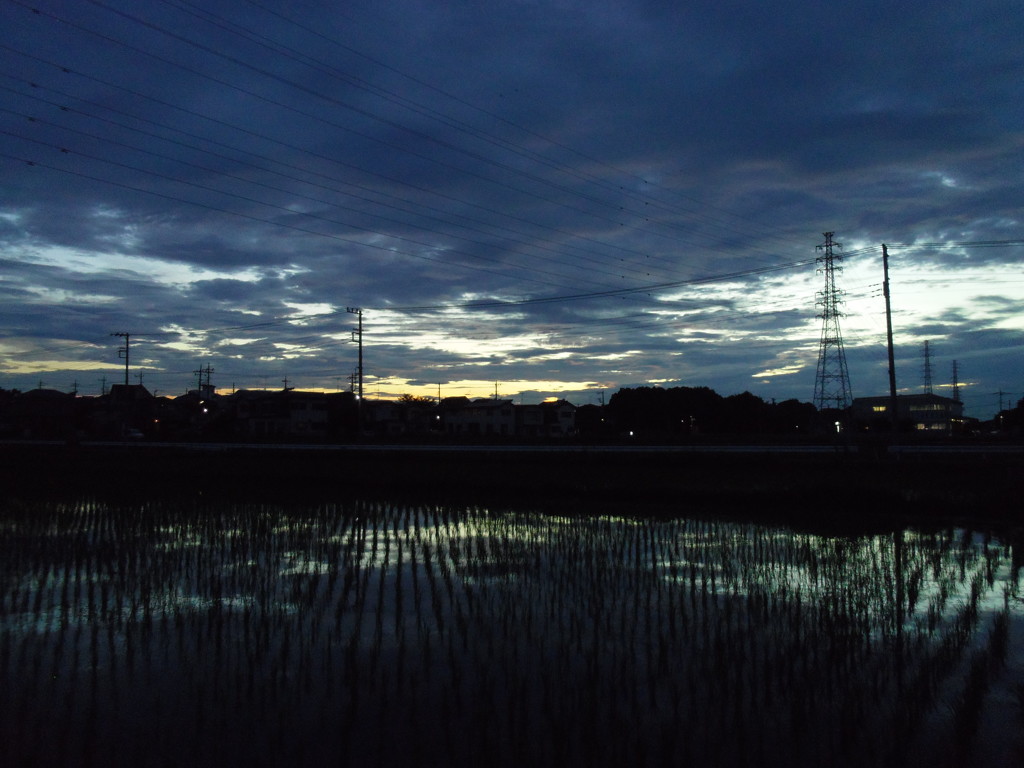 2017/07/01_水田の夕暮れ