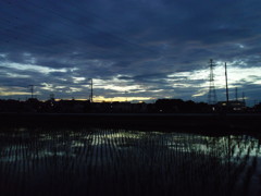 2017/07/01_水田の夕暮れ