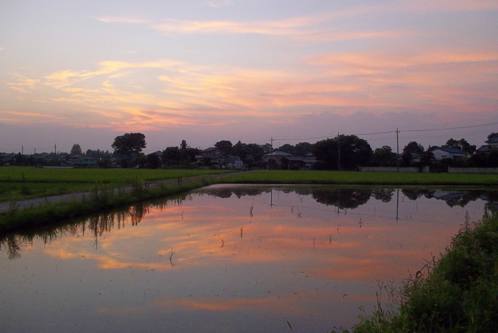 2015/07/25_水田の夕暮れ