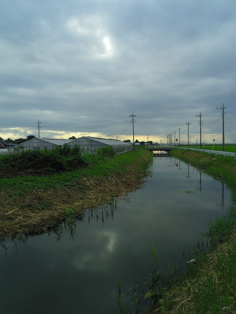 2017/08/12_用水路の曇天