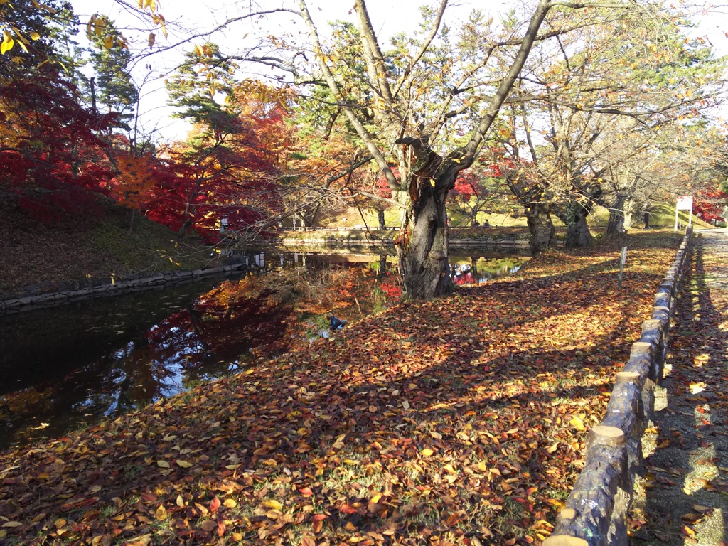 2016/11/14_弘前公園 内濠