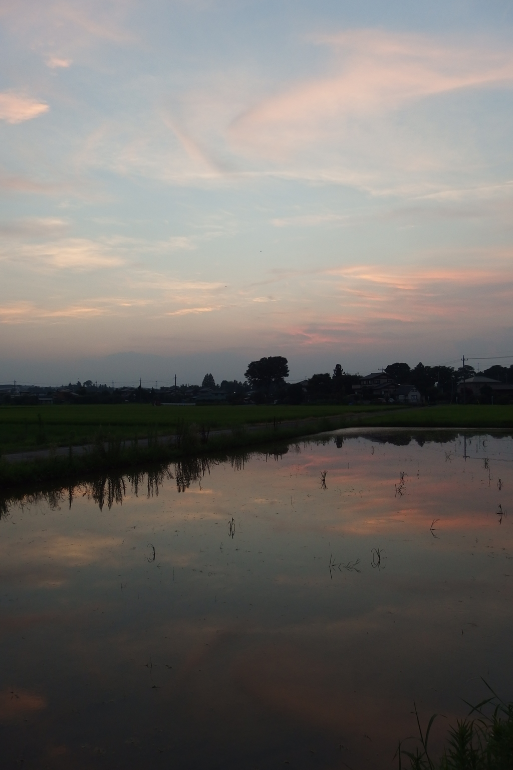 2015/07/25_水田の夕暮れ