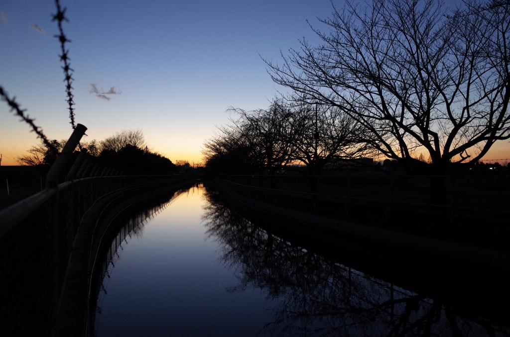 2015/12/26_見沼代用水の夕暮れ