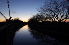 2015/12/26_見沼代用水の夕暮れ