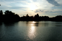 2014/06/15_夕暮れのしのぶ池