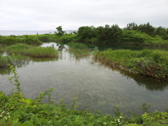 2018/06/16_早月川河口