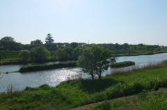 2015/04/26_光る中川