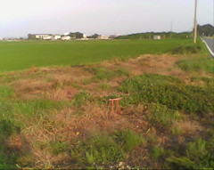 2015/07/12_小さな鳥居