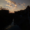 2018/11/03_用水路の夕暮れ