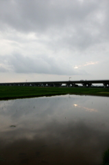 2015/07/05_水田に曇天