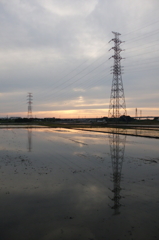2015/05/31_水田の夕暮れ