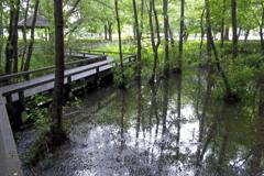 2015/07/05_伊奈町制施行記念公園