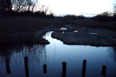 2015/02/15_夕暮れの秋葉の森総合公園