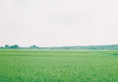 2017/08/05_田園