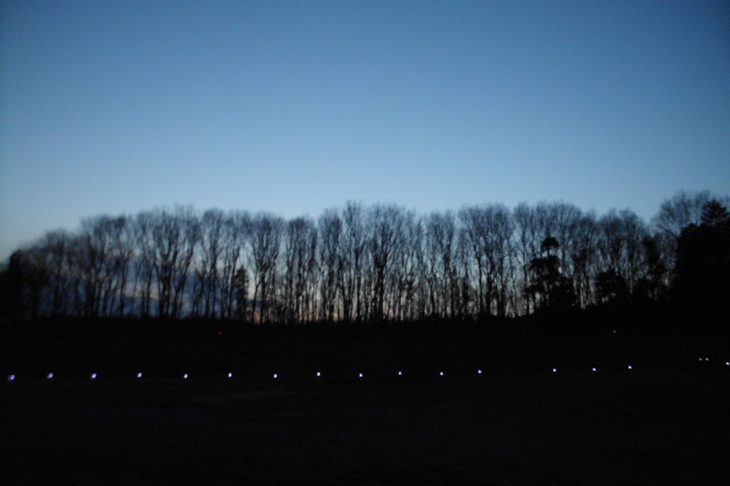 2014/01/18_夕暮れの木とソーラーライト