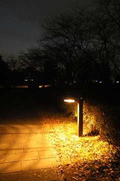 2014/12/31_夕暮れのさきたま古墳公園