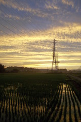 2015/06/27_水田の夕暮れ