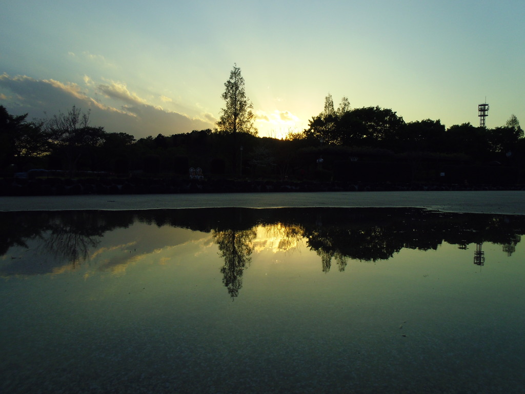 2017/04/23_花の丘農林公苑の夕暮れ