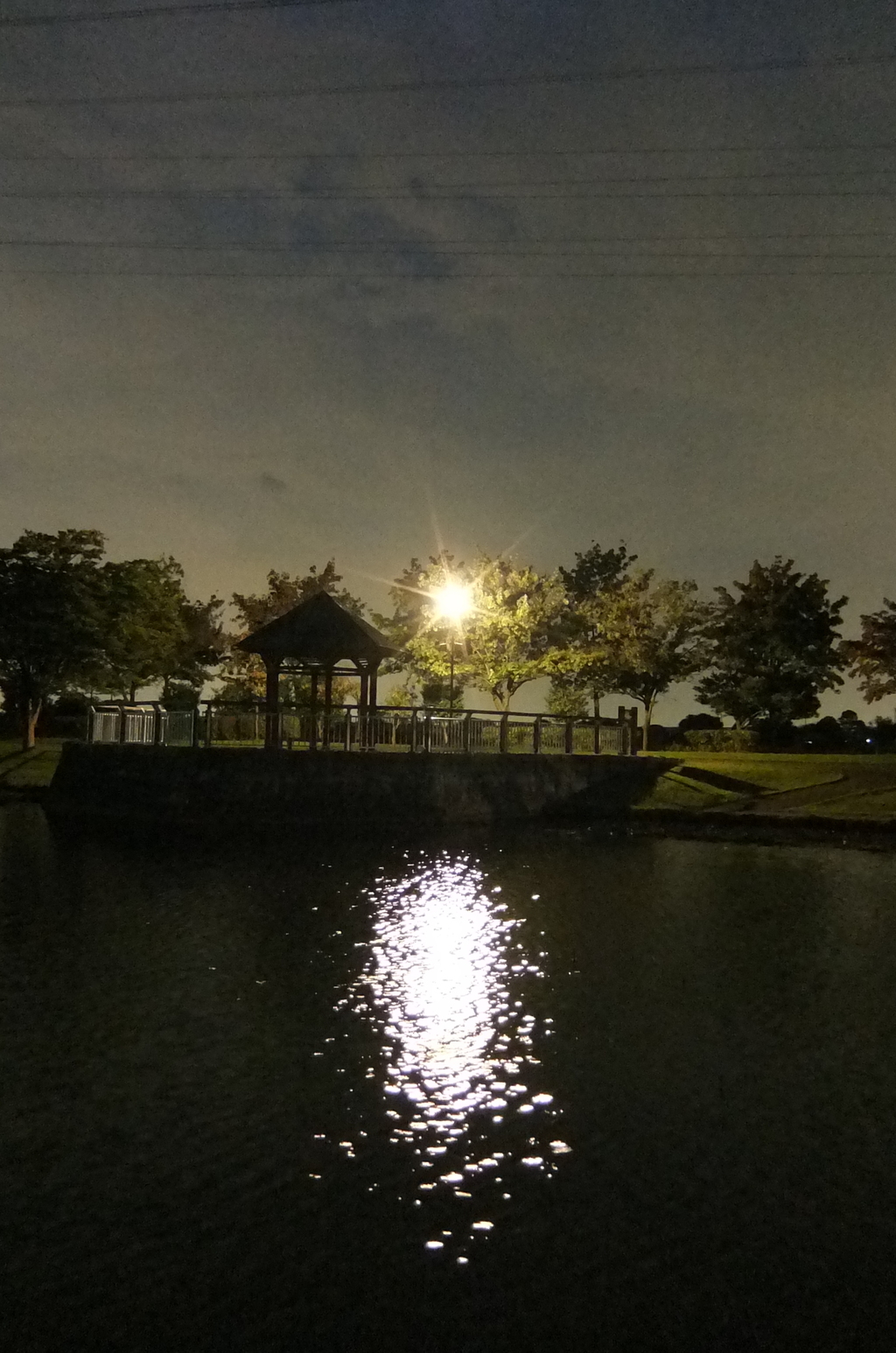 2015/10/04_夕暮れの平成の森公園