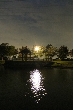 2015/10/04_夕暮れの平成の森公園