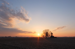 2014/02/23_夕暮れの木