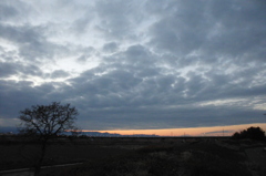 2014/01/05_夕暮れの木と太郎右衛門橋