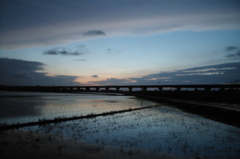 2015/06/28_水田の夕暮れ