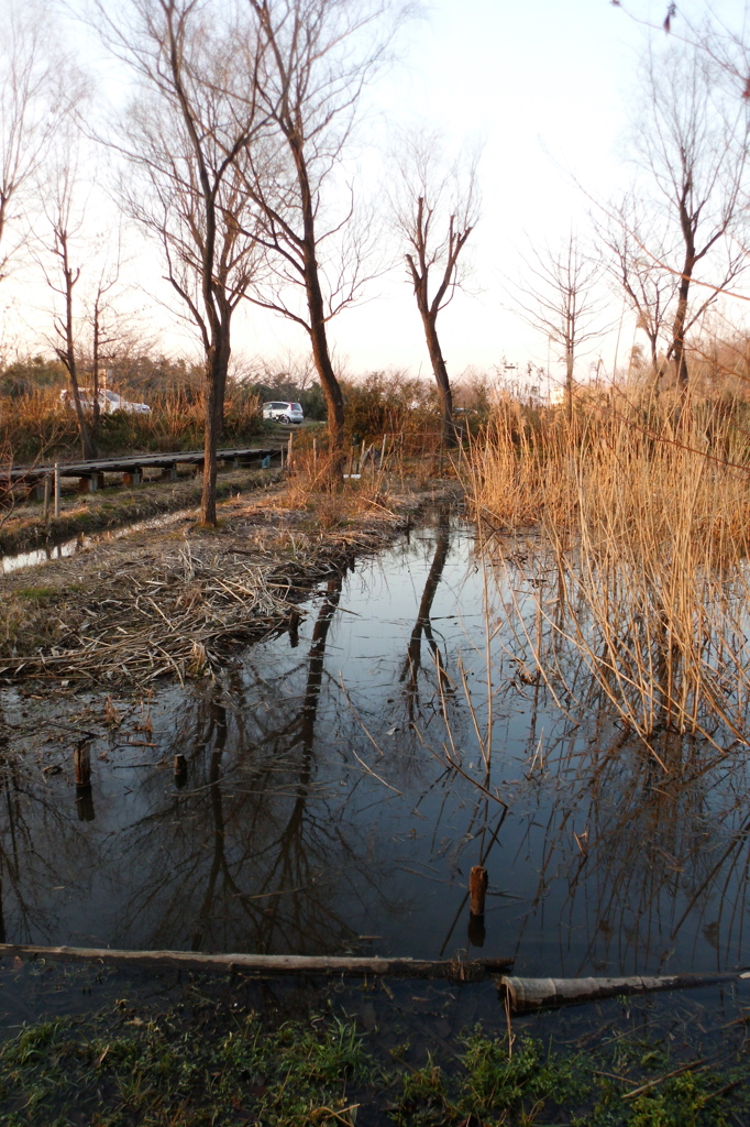 2015/02/11_ホタルの里