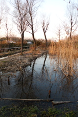 2015/02/11_ホタルの里