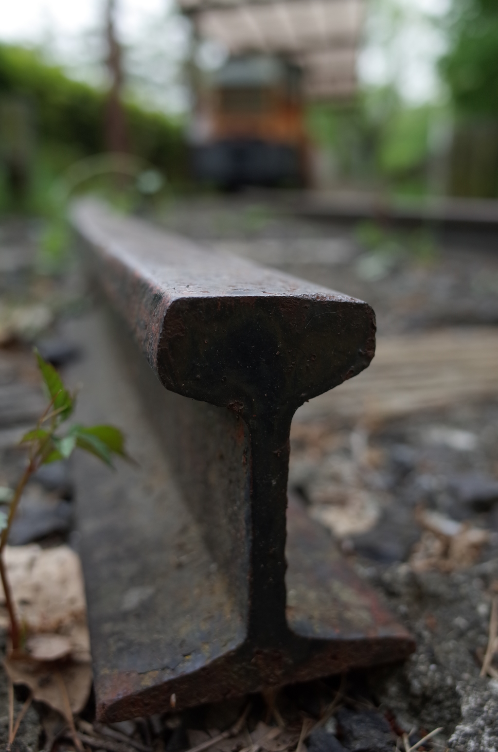2016/05/01_トロッコ公園 銀河ステーションのレールと機関車