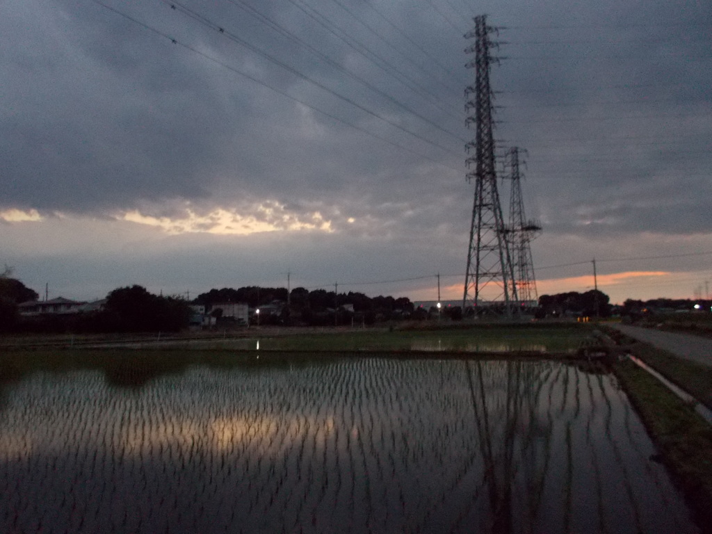 2017/06/10_水田の夕暮れ