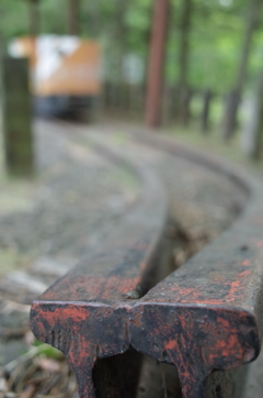 2016/05/01_トロッコ公園 天の川ステーションのレールと機関車