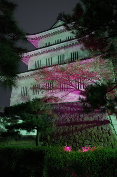 2016/10/10_ピンクリボンの夜の忍城