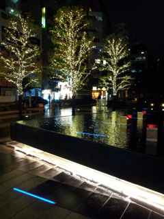 2014/11/26_夜、雨上がりの秋葉原