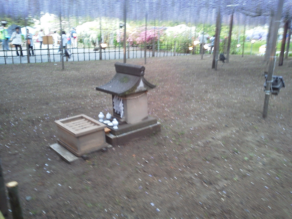 2017/05/01_あしかがフラワーパークの藤の祠（没カット）