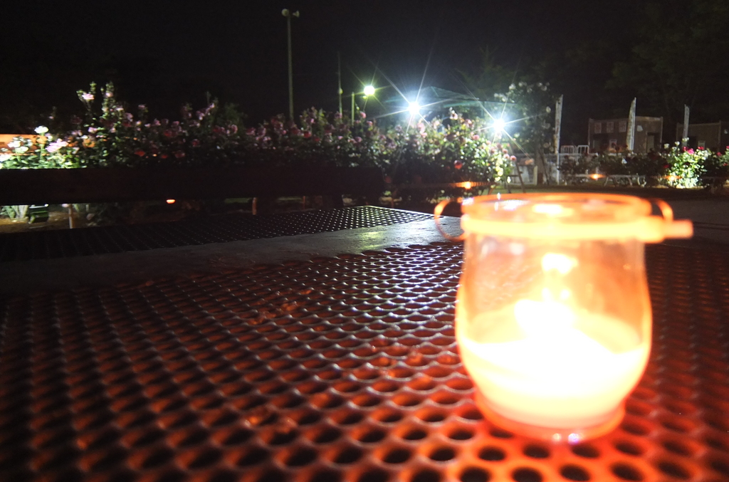 2014/05/18_夜の伊奈バラ園