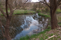 2016/03/26_北本自然観察公園