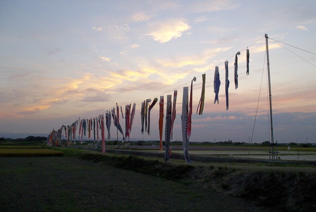 2015/05/24_夕空に鯉のぼり